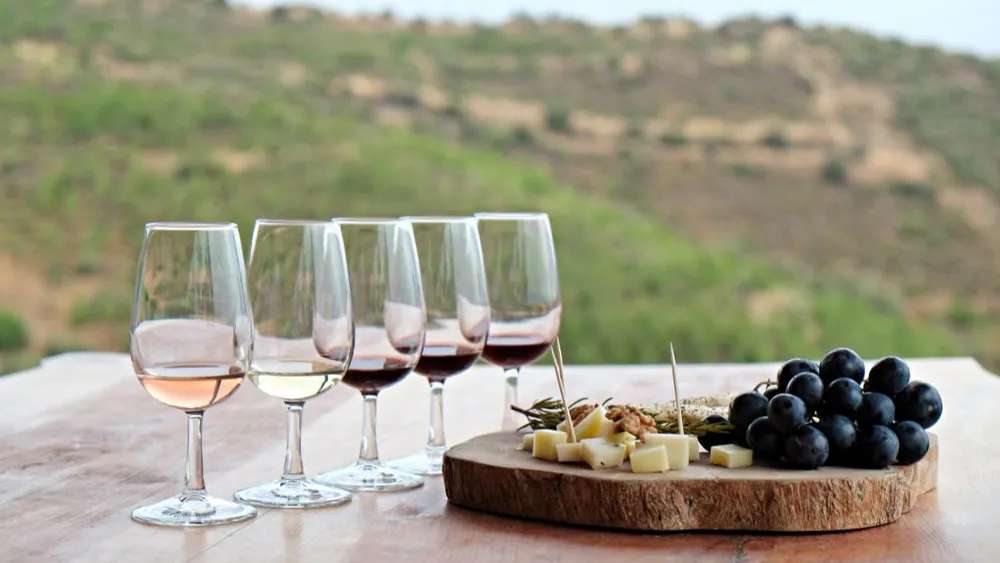 A Toast to Barcelona: Exploring the City's Wine Scene  5