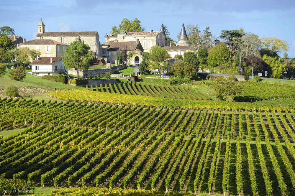 Interesting Facts About Bordeaux Wine 3
