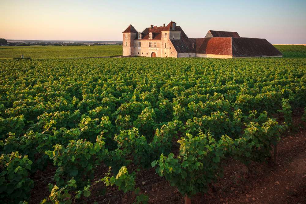 Top 5 Wine Estates Near Burgundy 2