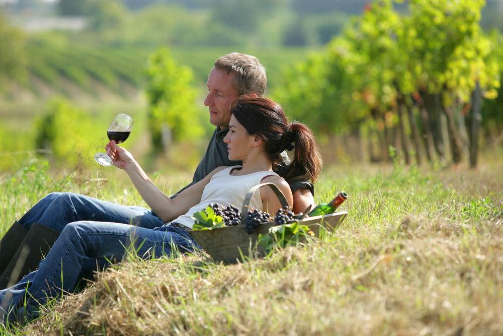 Top 5 Wine Tours from Florence for Couples 3