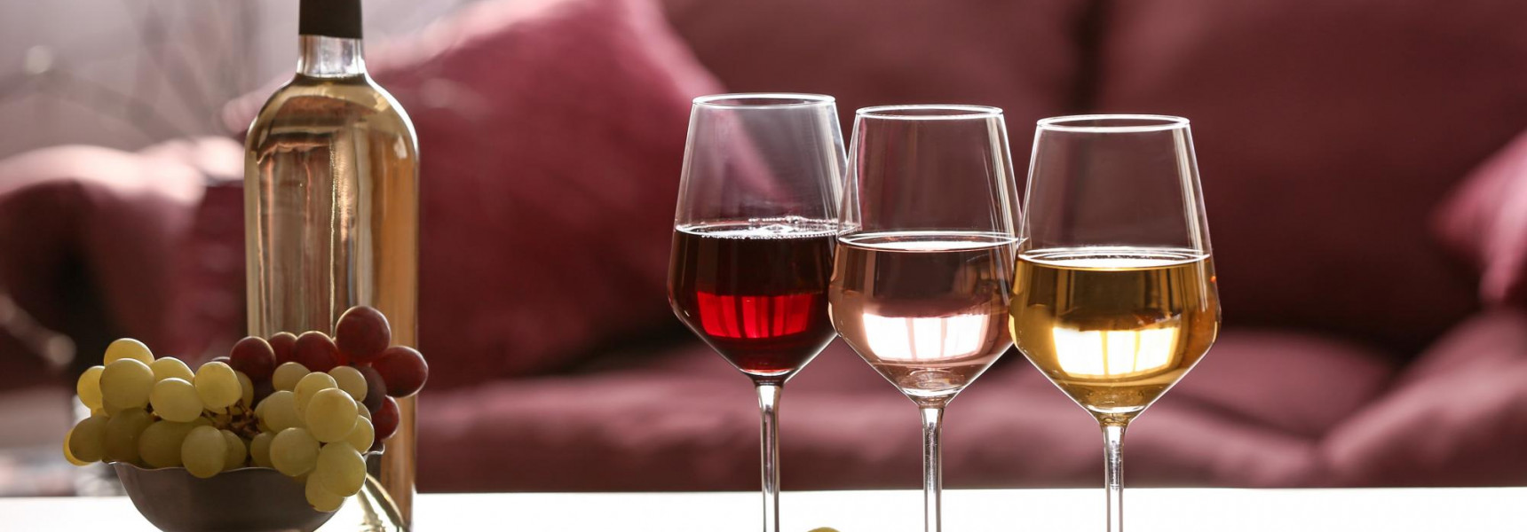 Top 5 Wine Tasting Experiences in Paris