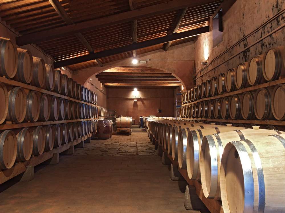 Top 5 Wine Tours from Milan 3
