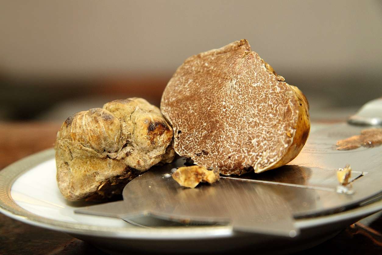 A Beginner's Guide to Truffle Season in France 2