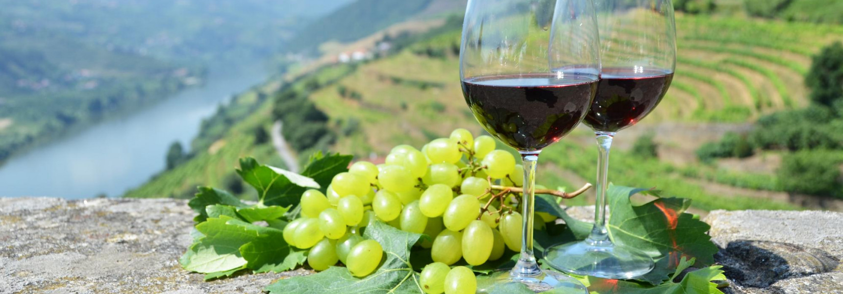 The Best Porto Wine Tasting Tours