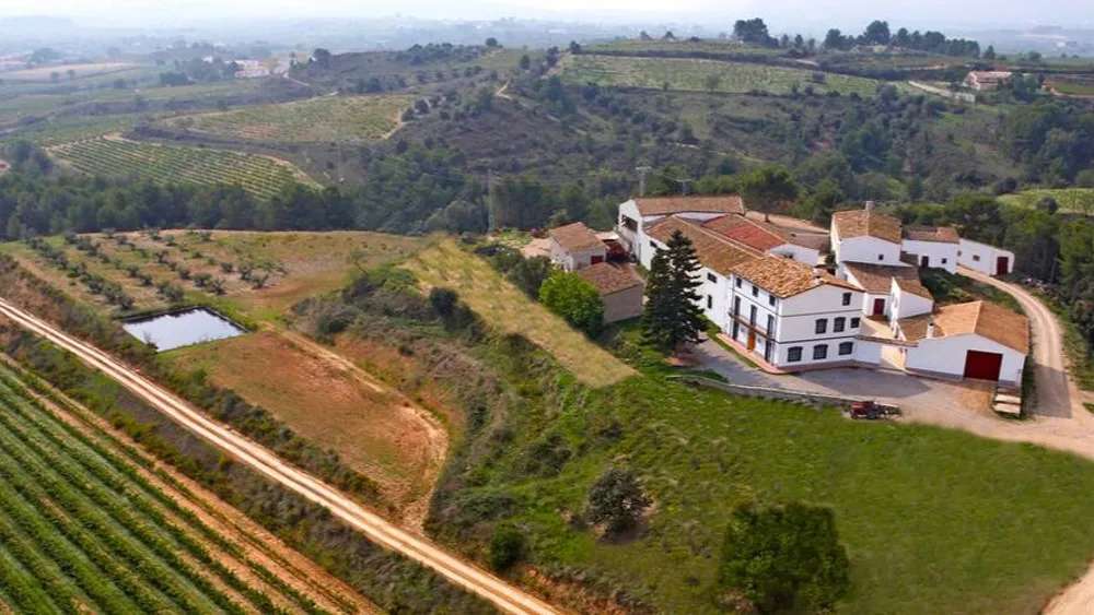 Grape Escapes: Weekend Getaways to Wine Country from Barcelona 7