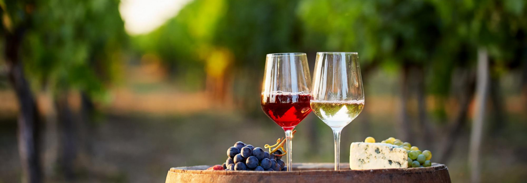 Top 5 Tuscany Wine Tours from Florence in 2023
