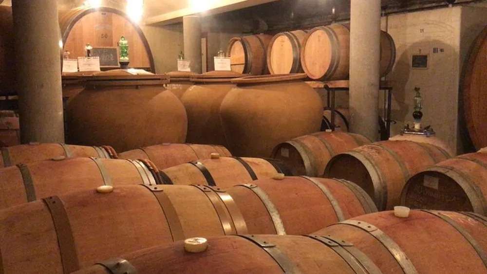 The Best Wine Tours in Tuscany 3