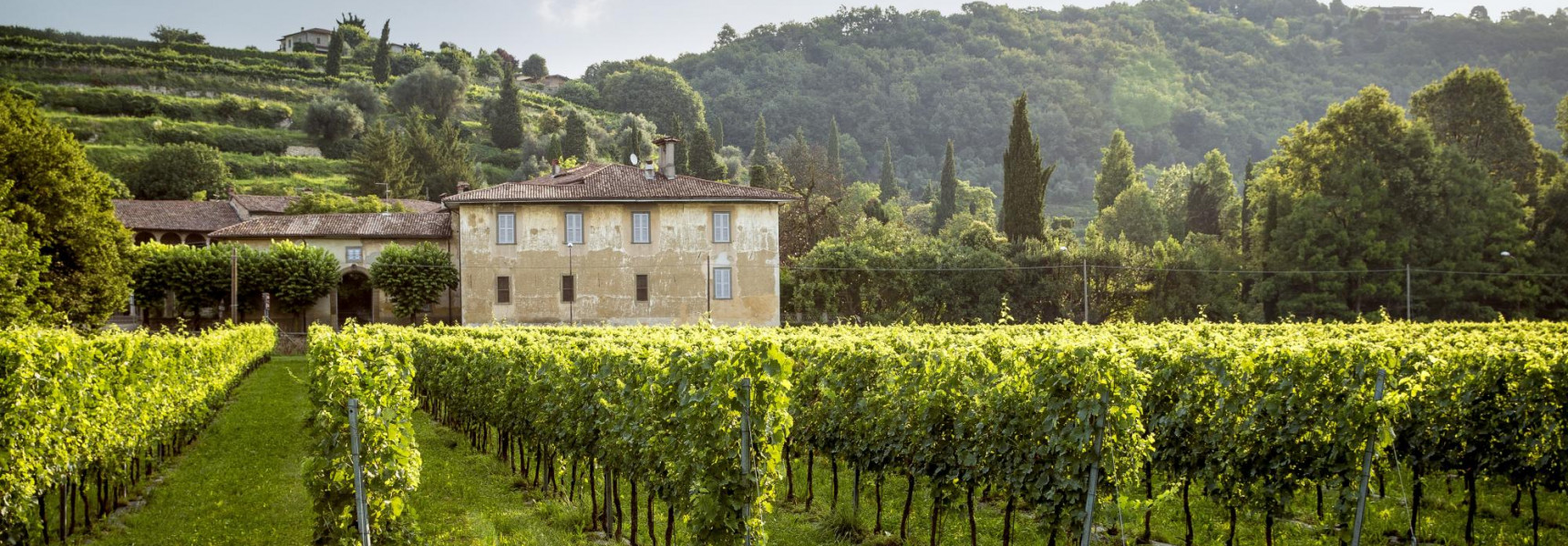 Uncover the Secrets of Five Famous Wine Estates in Tuscany