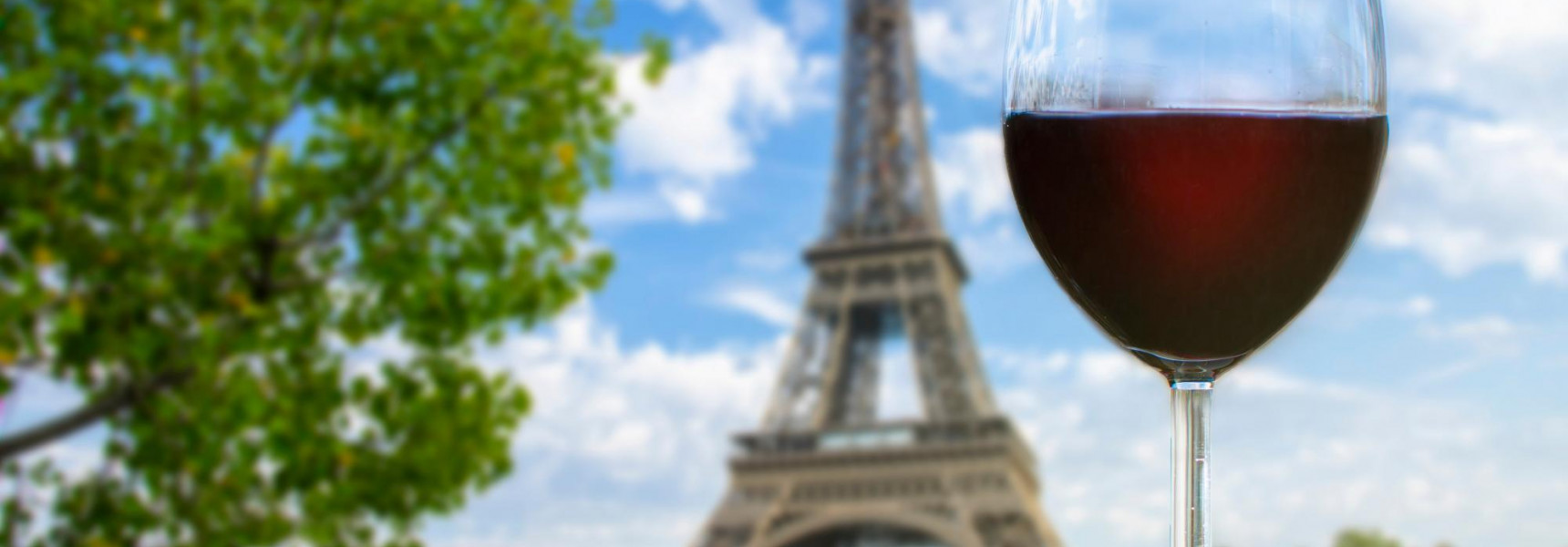 Top 5 Wine Tasting Experiences in Paris 2023