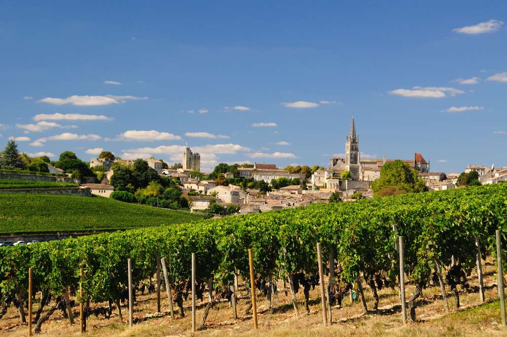 The Best Vineyards in Bordeaux 2