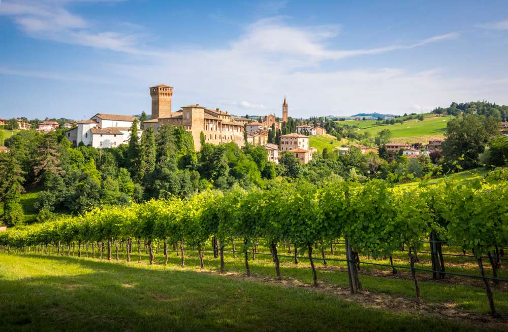 Top Wine Tours in and around Modena 1