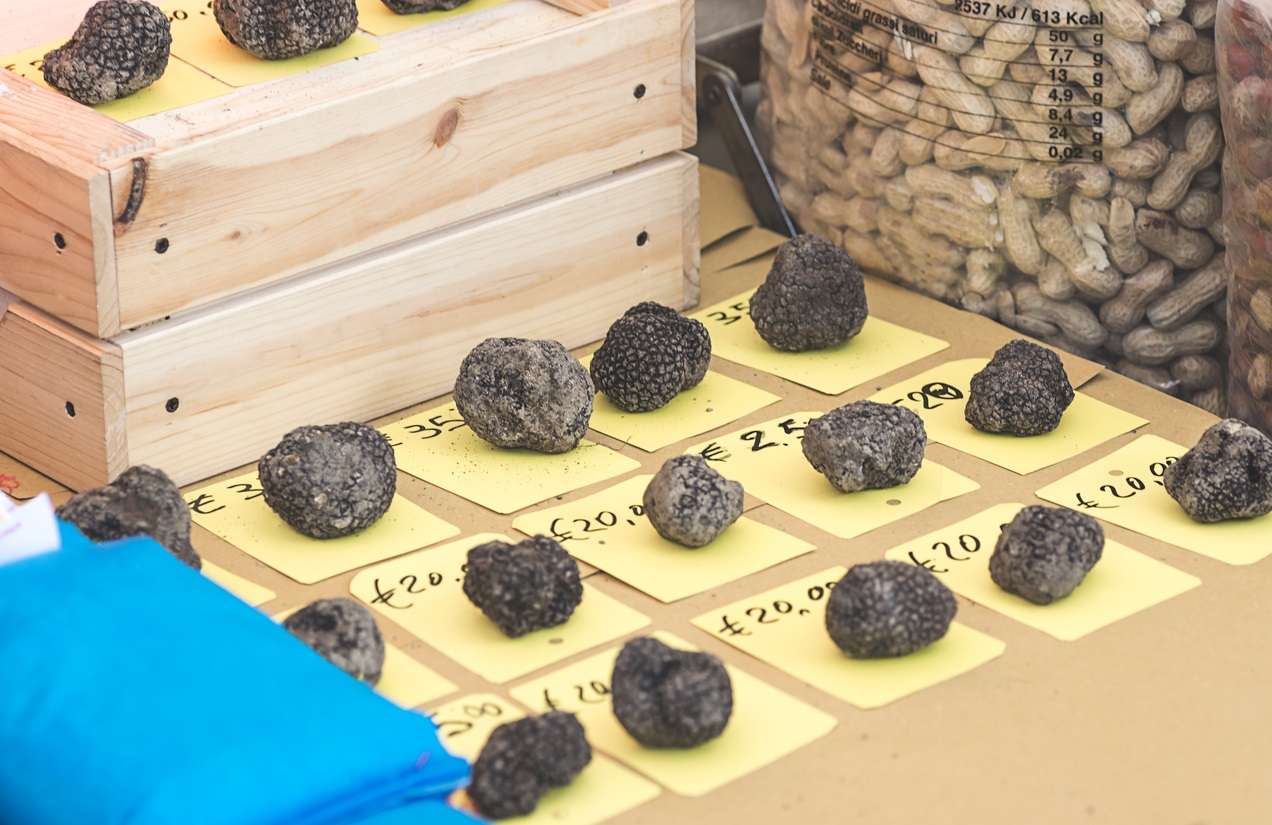 A Beginner's Guide to Truffle Season in France 4