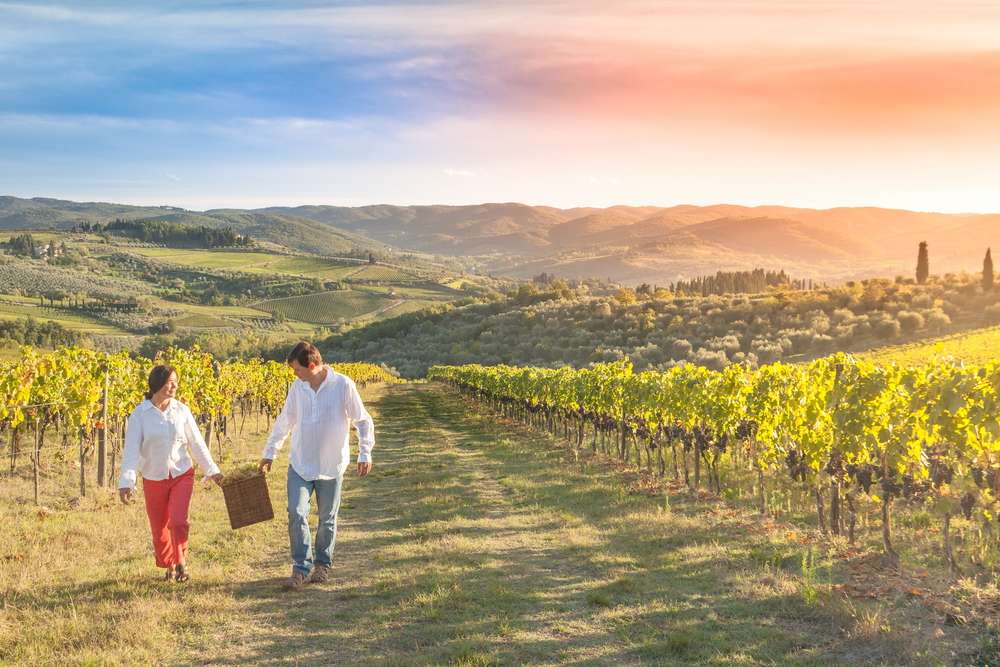 Uncover the Secrets of Five Famous Wine Estates in Tuscany 3