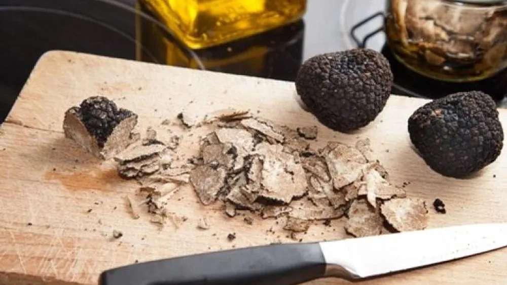 Alba’s White Truffles: Exploring Italy’s Prized Culinary Treasure 8