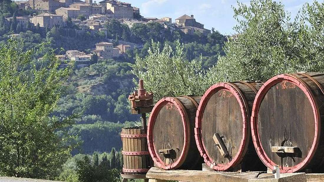 The 9 Best Tuscan Wine Tours to Book in 2023 6