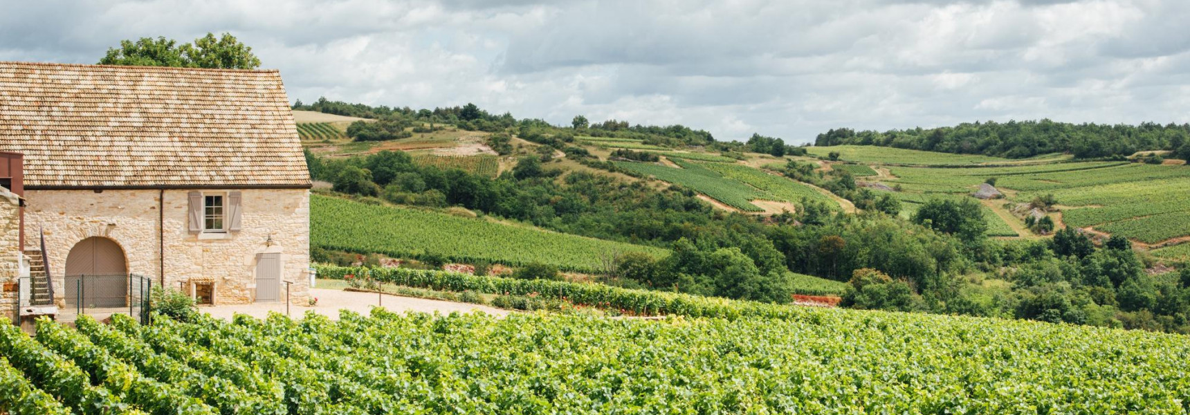 Top 5 Wine Estates Near Burgundy