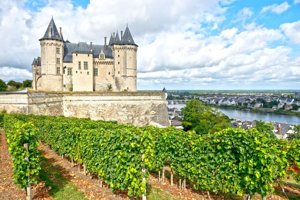 The Best Loire Valley Wine Tasting Tours 1