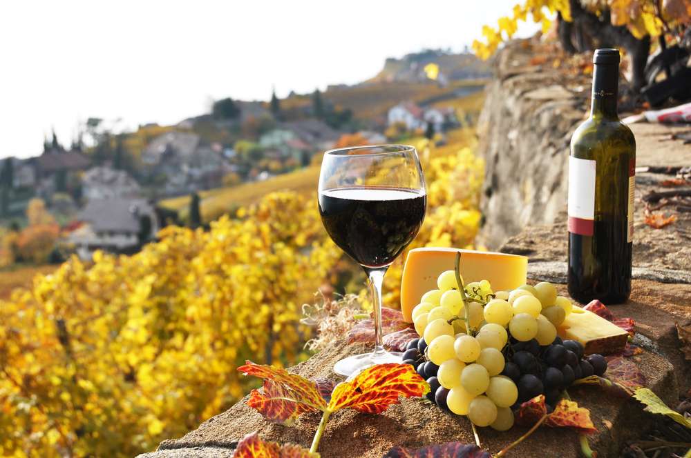 Top 5 Tuscany Wine Tours from Florence in 2023 1