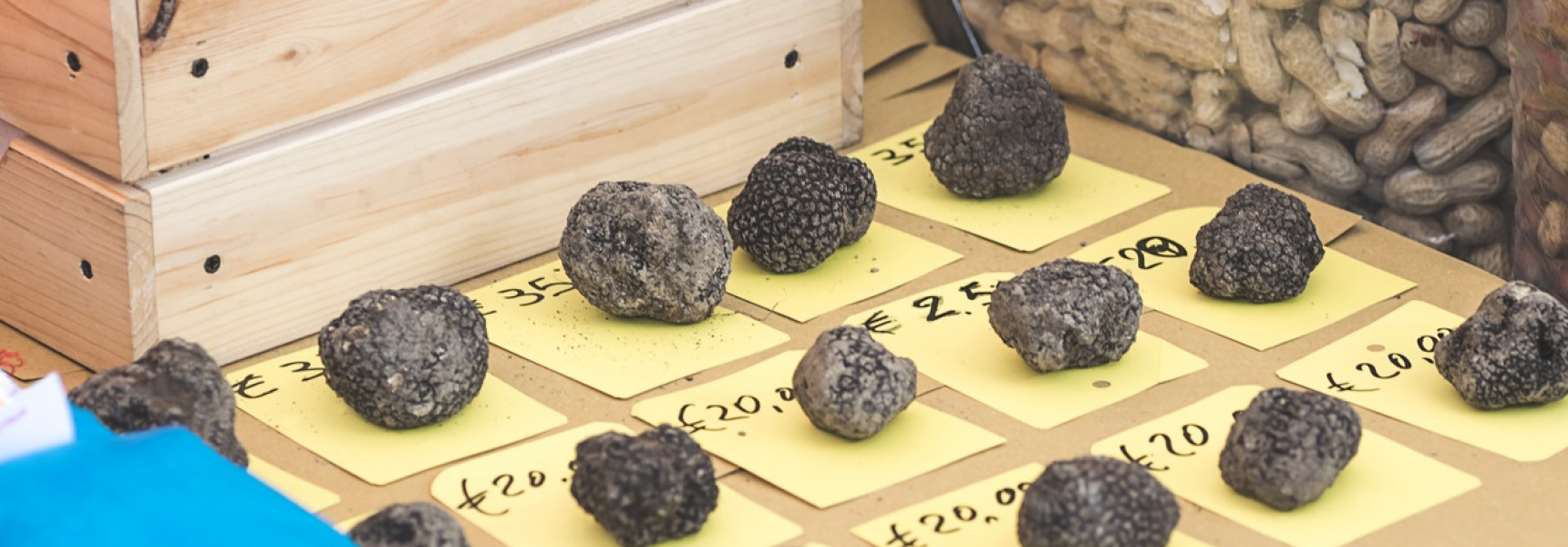 A Beginners Guide to Truffle Season in Italy