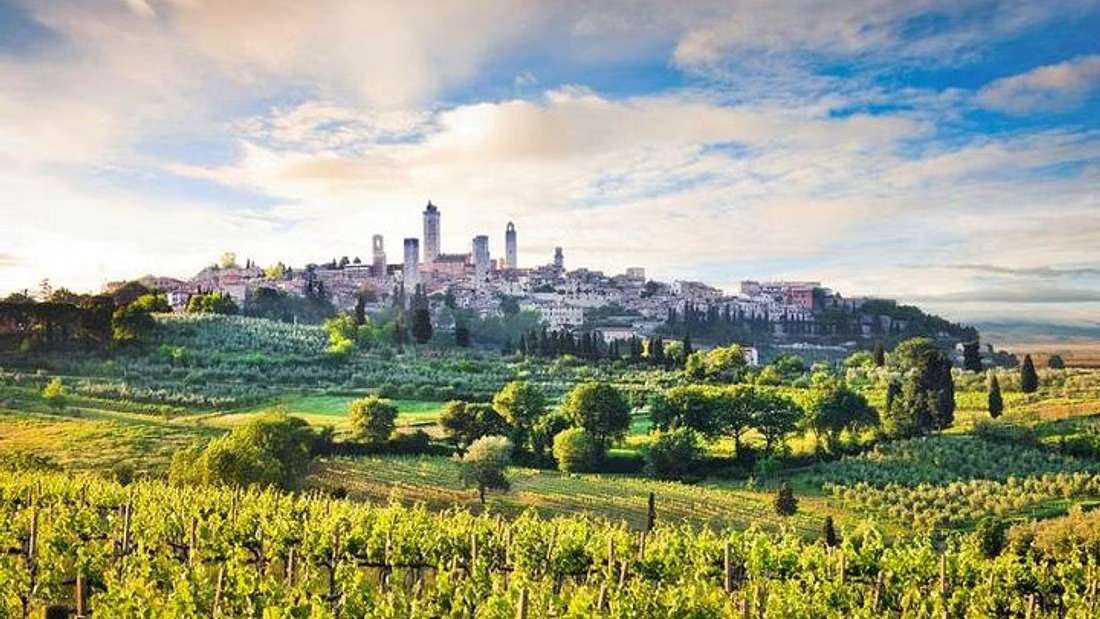 The 9 Best Tuscan Wine Tours to Book in 2023 2