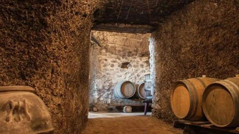 5 of the Best Wine Tours in Rome 2