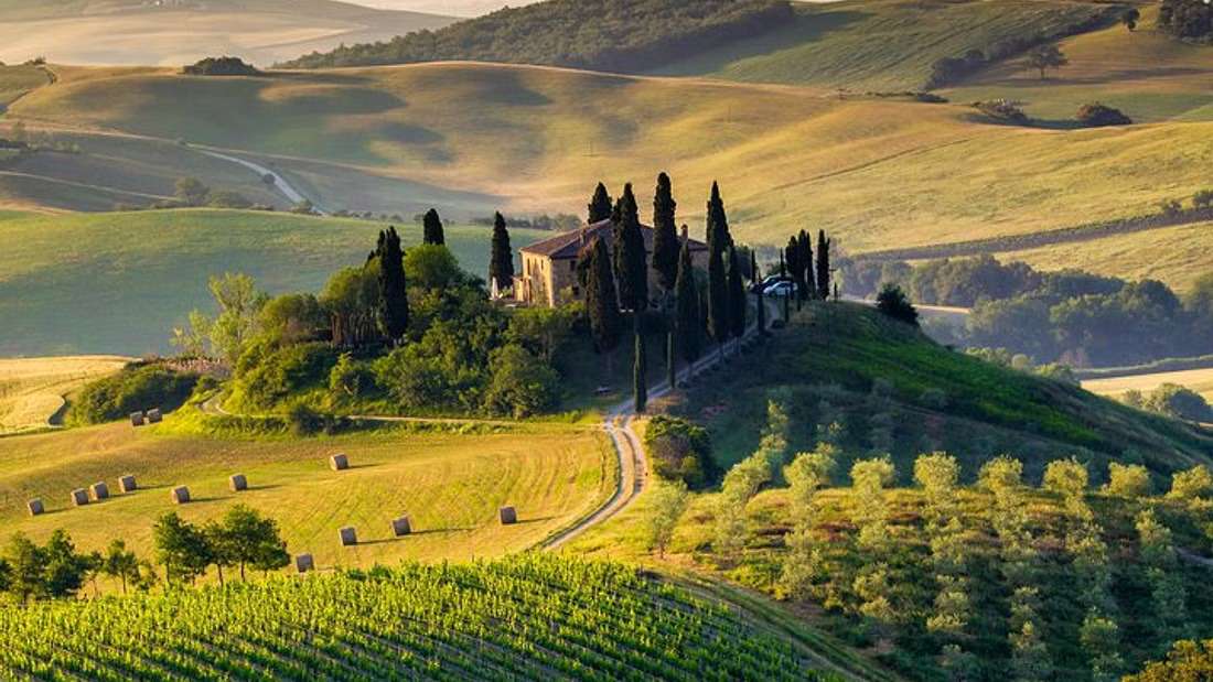 The 9 Best Tuscan Wine Tours to Book in 2023 1