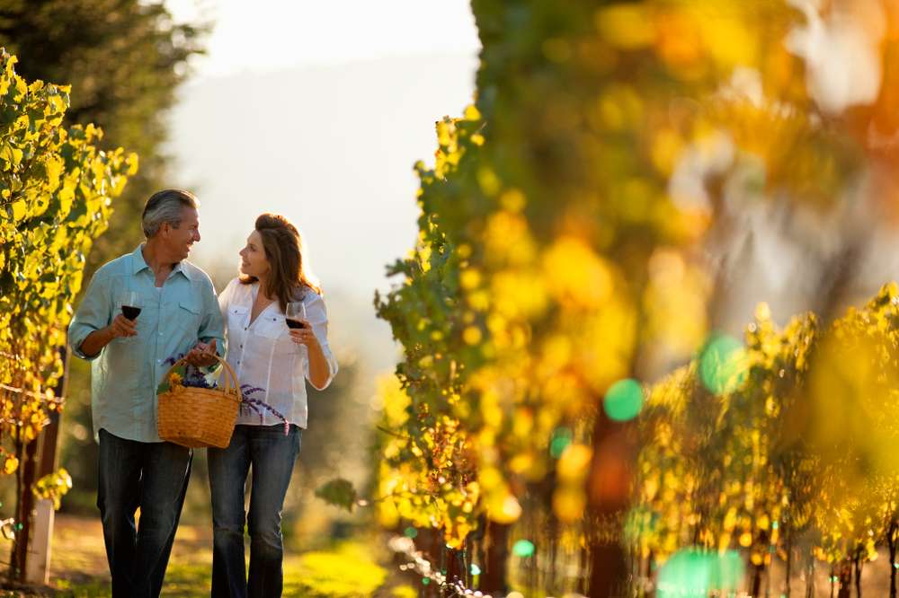 Top 5 Wine Tours from Florence for Couples 1