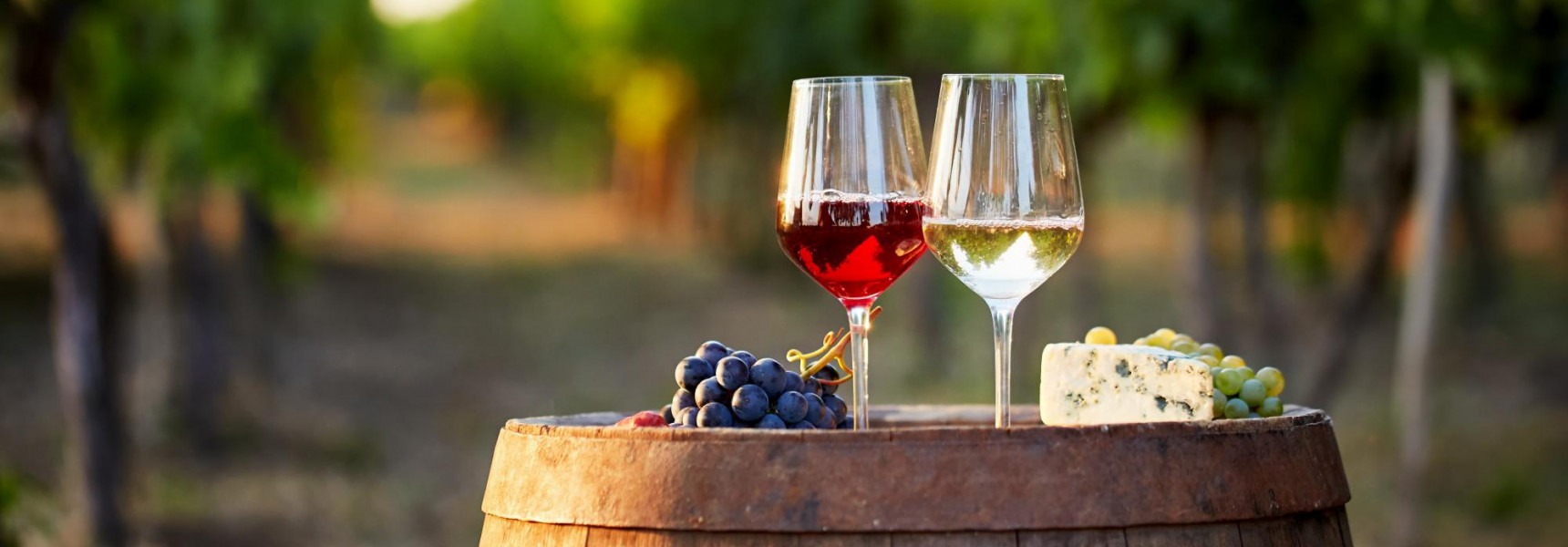 What is the difference between French Wine and Italian Wine?