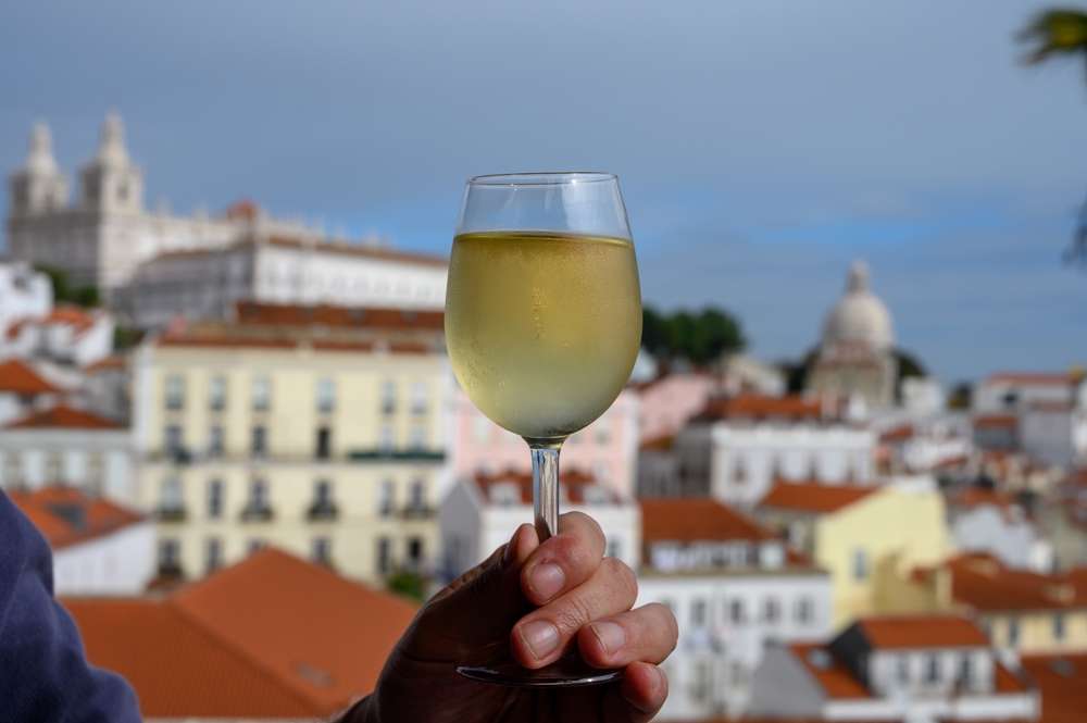 Top 5 Wine Estates Near Lisbon 2