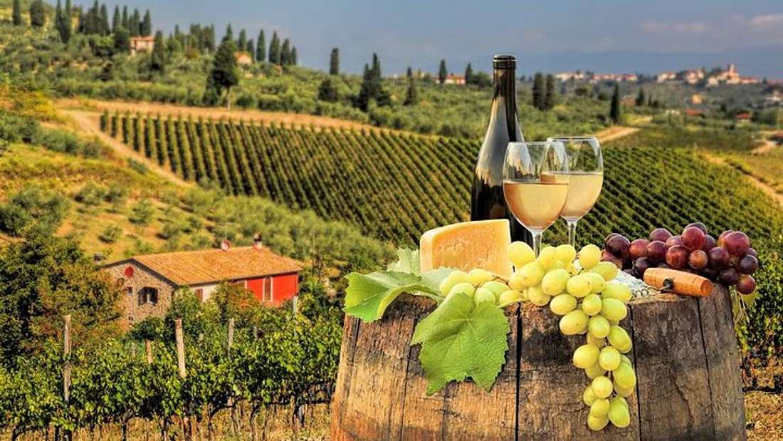 The 9 Best Tuscan Wine Tours to Book in 2023 3