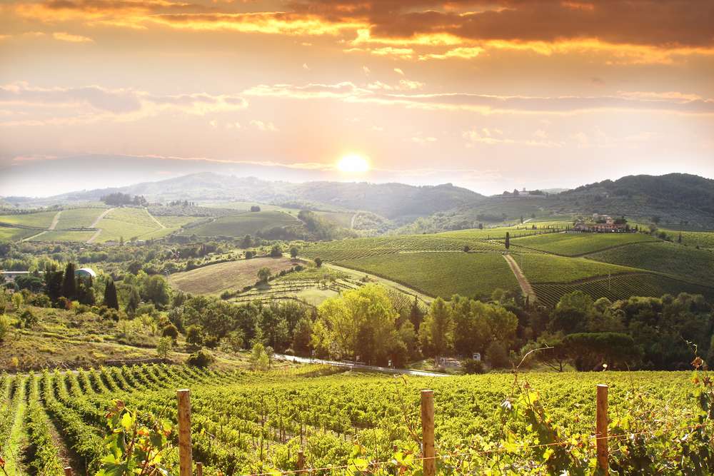 The History of the Tuscan Wine Region 1