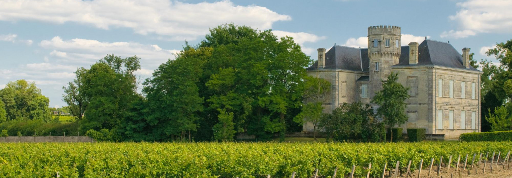 The Best Vineyards in Bordeaux