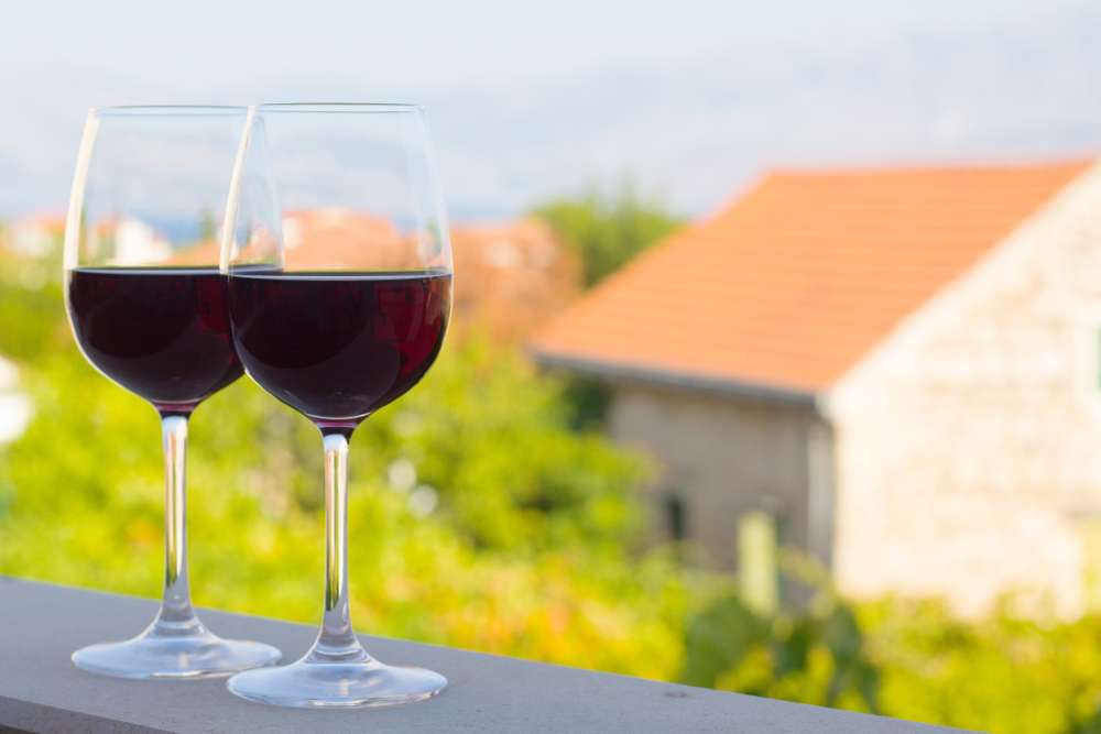 Top 5 Wine Tours in Dubrovnik for Summer 2023 2