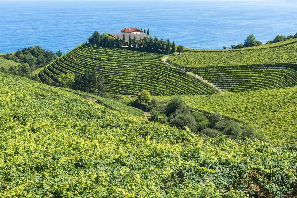 San Sebastián Wine Tours with Pick Up Included 1