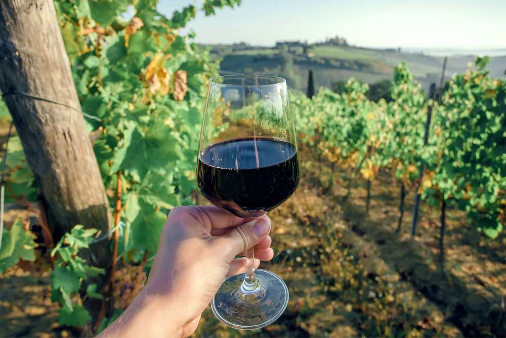 Top 5 Wine Tasting Experiences from Florence 2