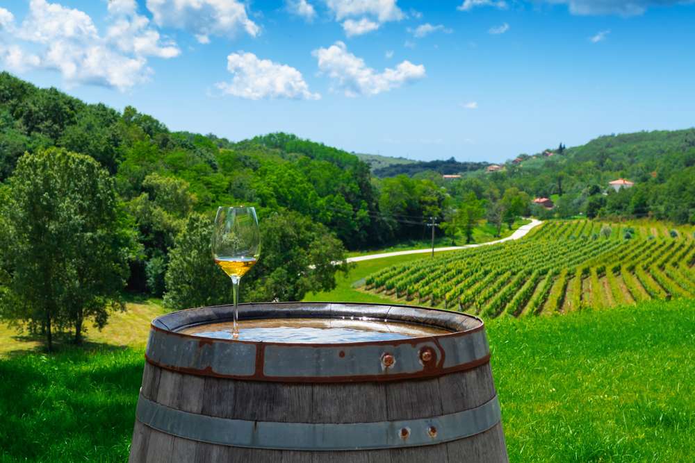 Top 5 Wine Estates Near Dubrovnik 2