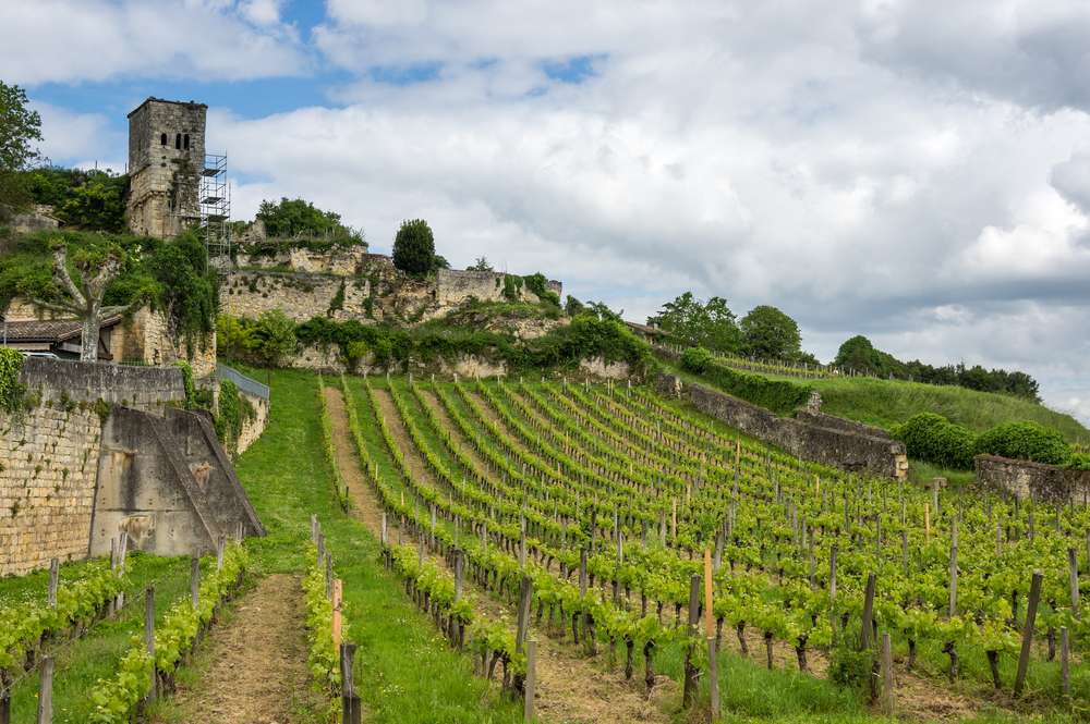 The History of the Bordeaux Wine Region 1