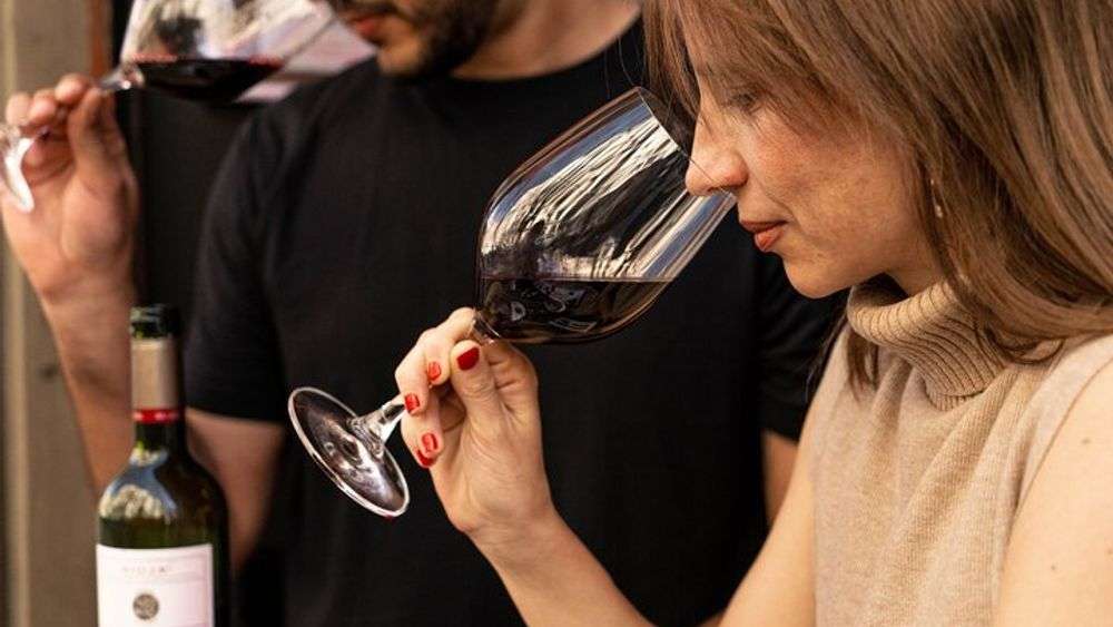 Wine Tasting 101: A Beginner's Guide to Discovering Catalan Wines 5