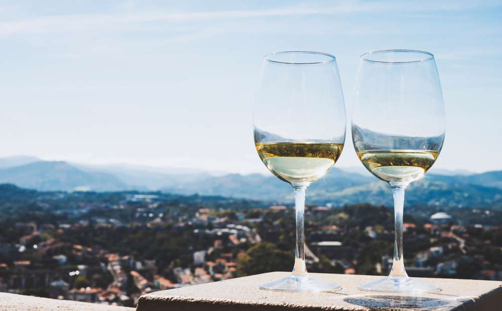 Top 5 Wine Tasting Experiences in San Sebastian 2023 1
