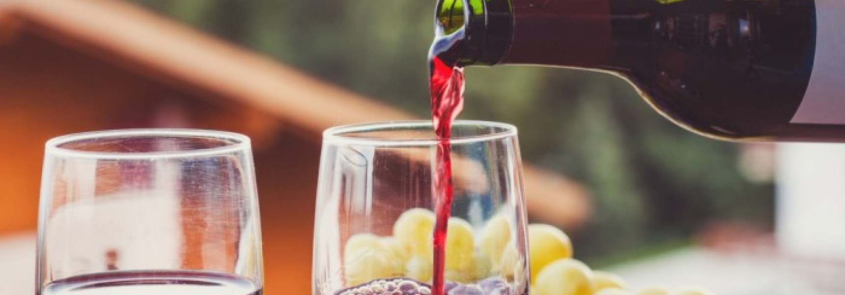 Beginners guide to wine tasting in France