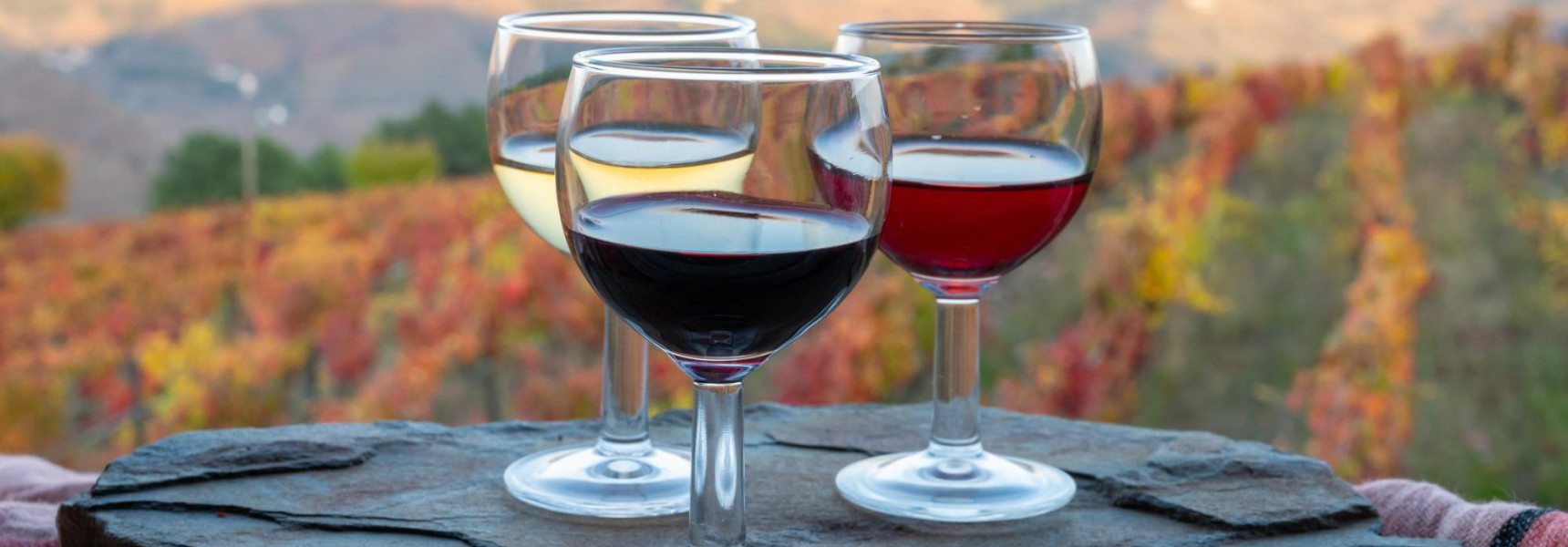 What is The Difference Between Portuguese Wine and French Wine?