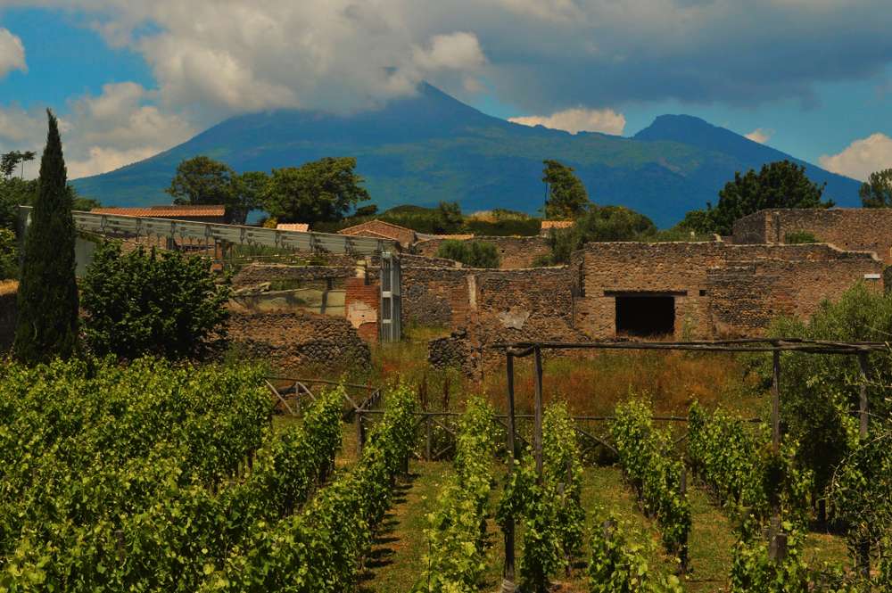 Top 5 Wine Tours in Naples 1