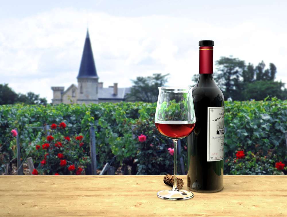 Top 5 Wine Tours in Bordeaux for Summer 2023 2