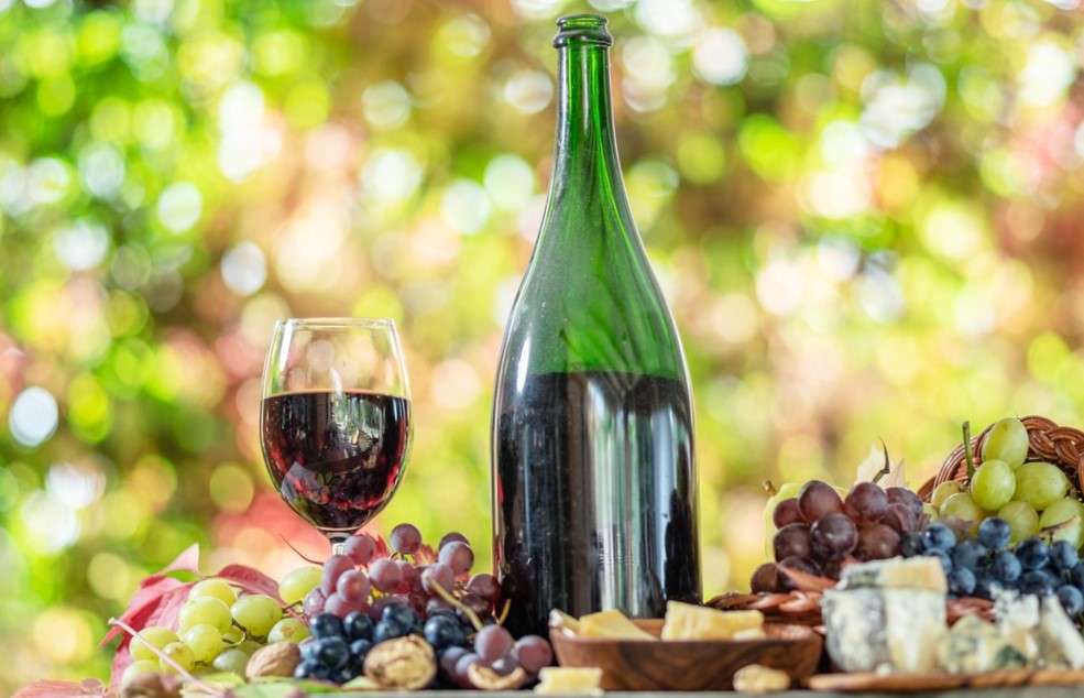 Top 5 Wine Estates Near Dubrovnik 3