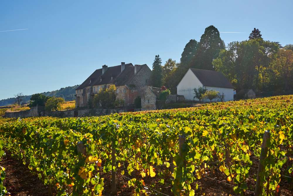Top 5 Wine Estates Near Burgundy 1