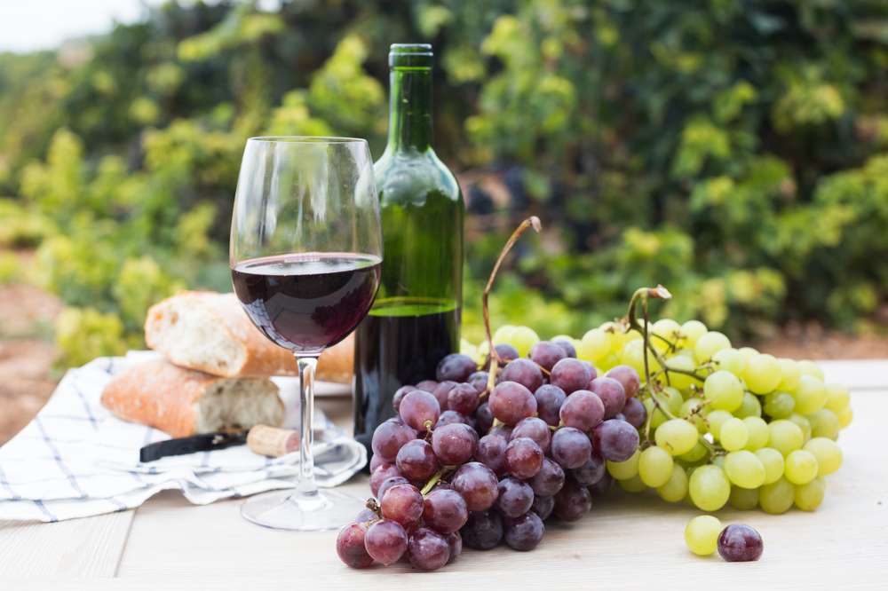 Top 5 Wine Tasting Experiences in San Sebastian 2023 2