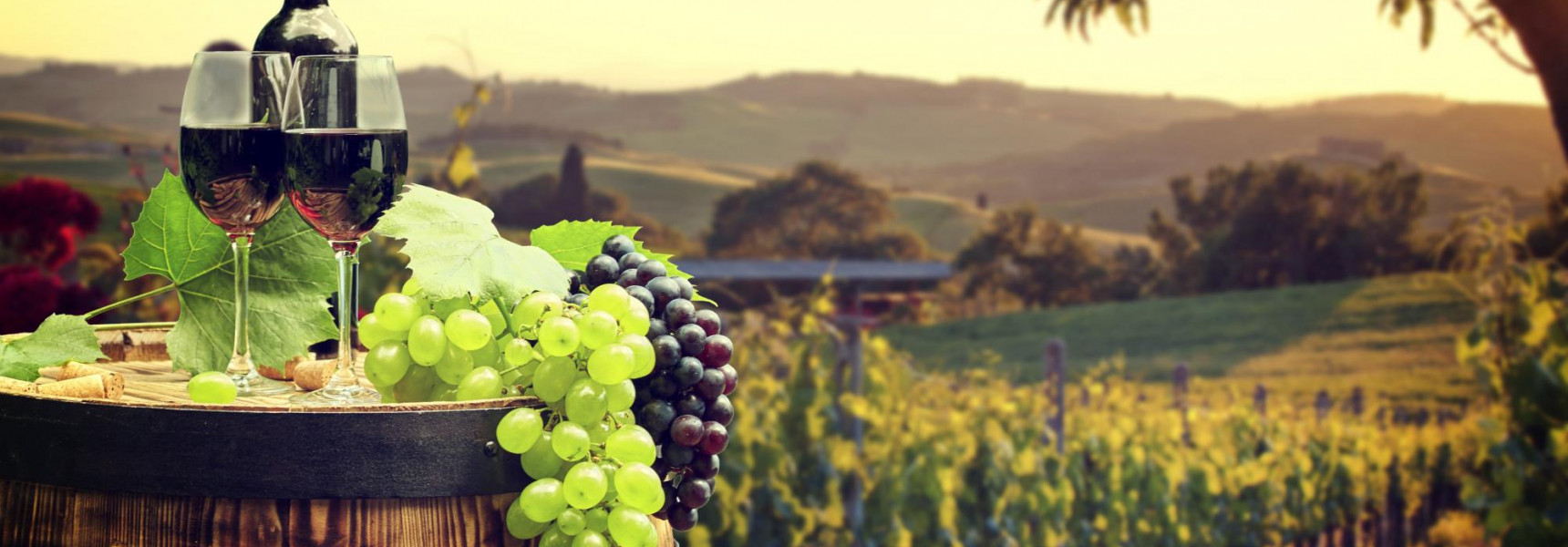 Interesting Facts About Tuscan Wine