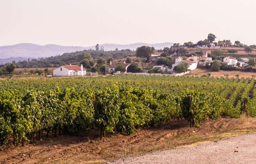 Top 5 Wine Estates Near Lisbon 1