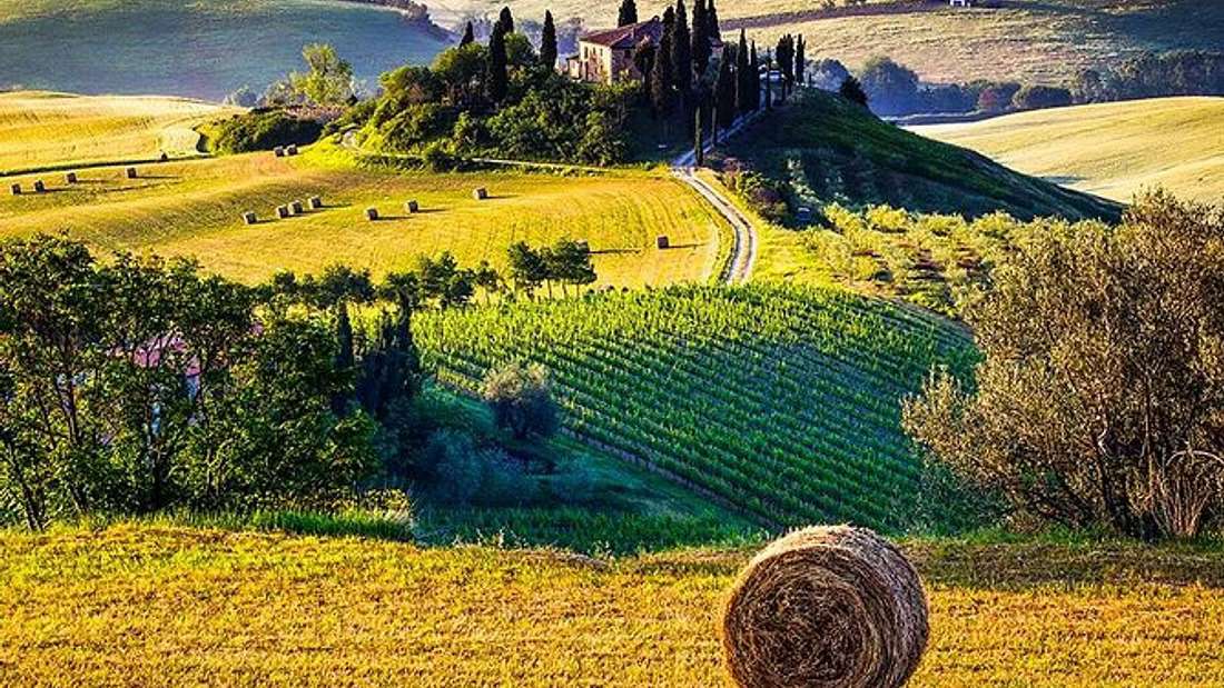 The 9 Best Tuscan Wine Tours to Book in 2023 5